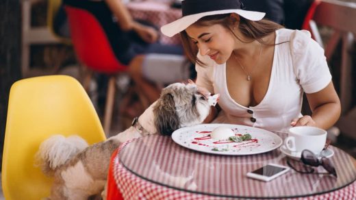 Best Dog Friendly Restaurants and Bars in Miami